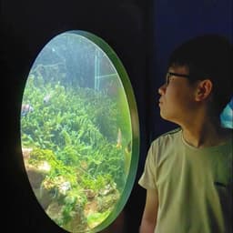 ảnh đại diện của Lê Đình Khuyến